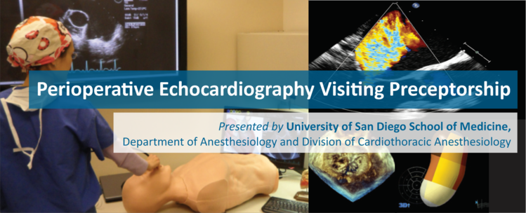 UCSD Anesthesiology Perioperative Visiting Preceptorship
