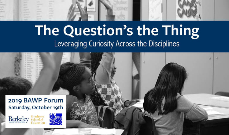 BAWP Forum: The Question’s the Thing: Leveraging Curiosity Across the Disciplines