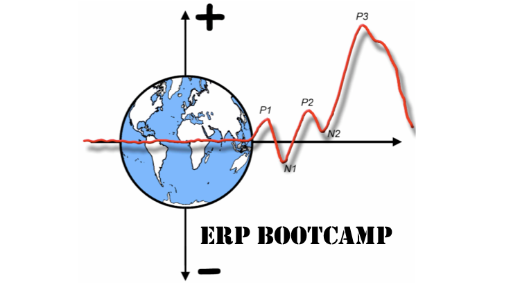 2024 ERP Boot Camp