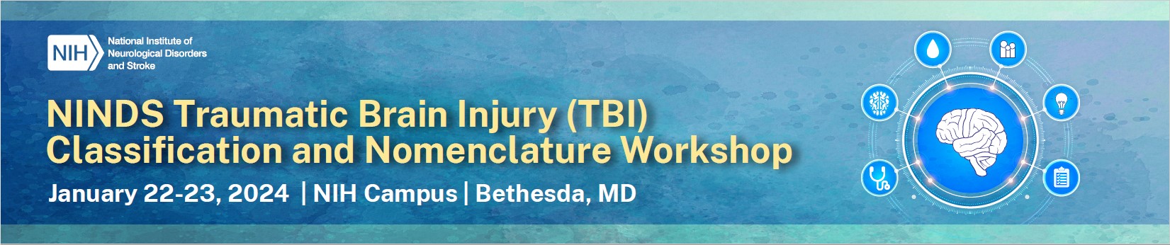 NINDS Traumatic Brain Injury (TBI) Classification and Nomenclature Workshop