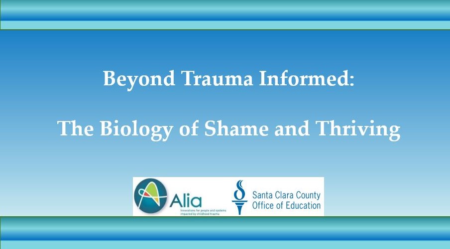 Workshop #2 Beyond Trauma Informed: Yes, But How? 