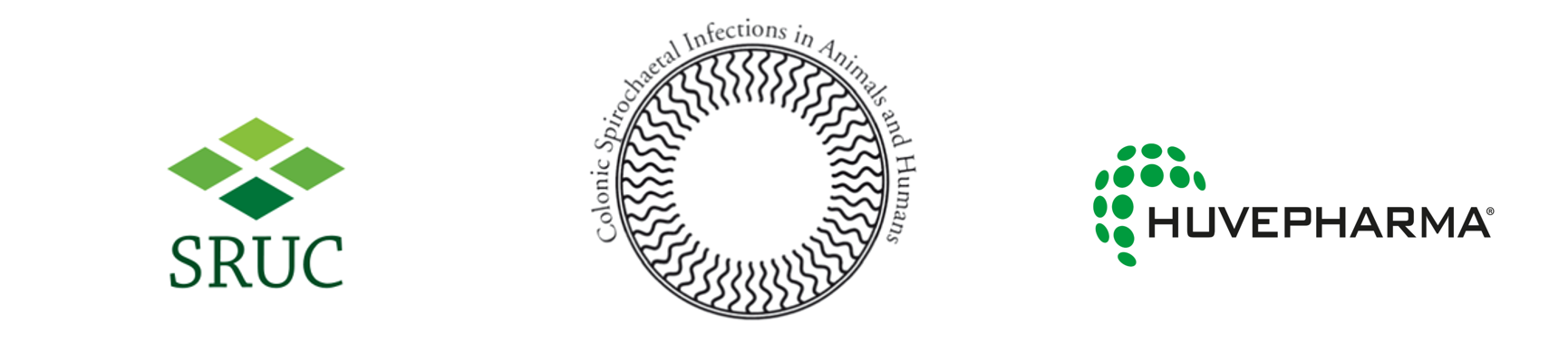 The 8th Conference on Spirochaetal Infections in Animals and Humans 