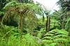 2.6 Botanical Garden
