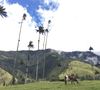 4.2 Valley de Cocora 