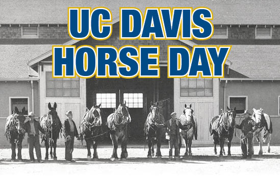 UC Davis Horse Day 2024