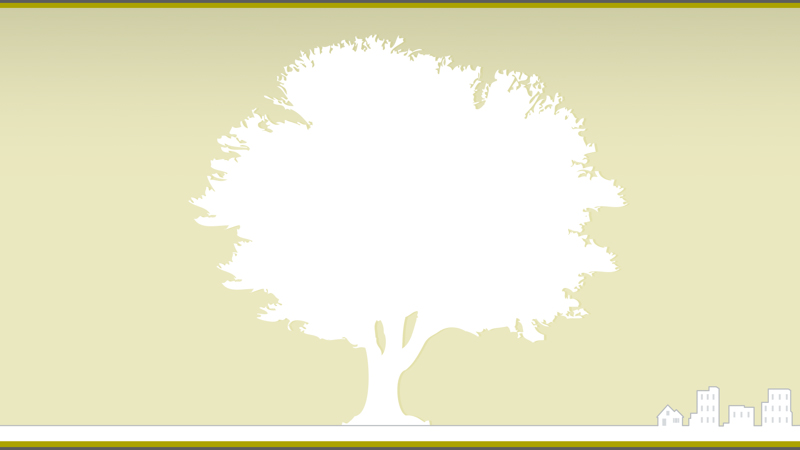 Urban & Community Tree Stewardship