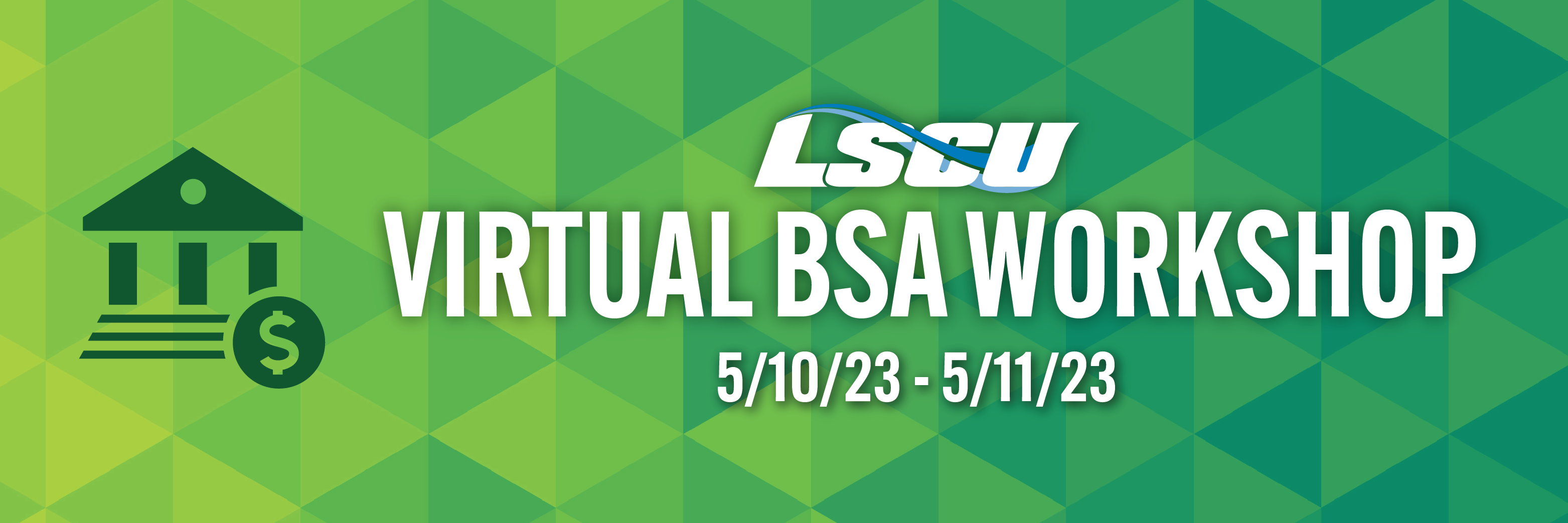 Virtual BSA Workshop
