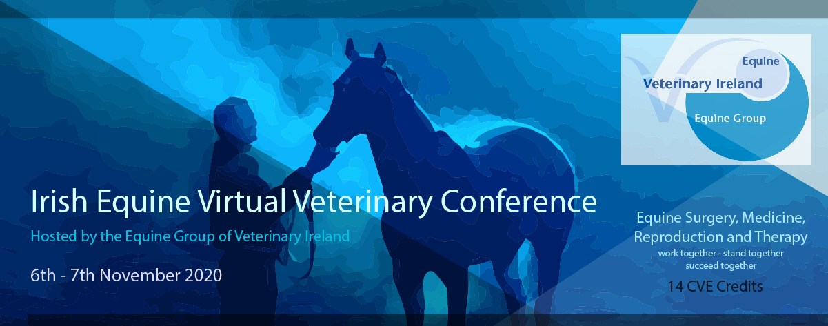 Irish Equine Veterinary Conference 2020