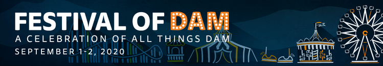 Festival of DAM 2020