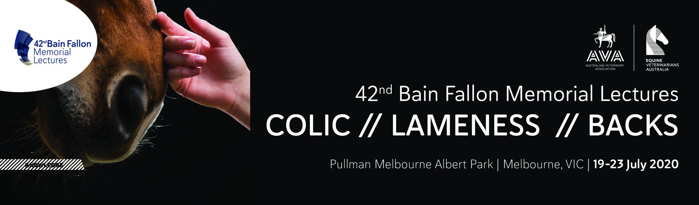 2020 Bain Fallon Exhibiton & Sponsorship Bookings