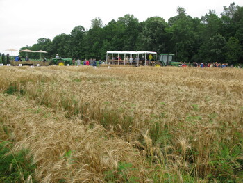 2025 Annual Crops & Soils Field Day