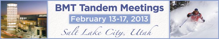 2013 BMT Tandem Meetings