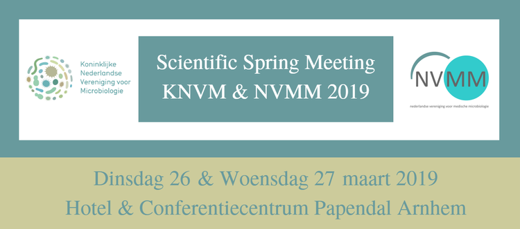Spring Meeting KNVM & NVMM 2019 (SM)