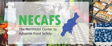 NECAFS Annual Conference and Meeting 2024