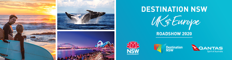 DNSW 2020