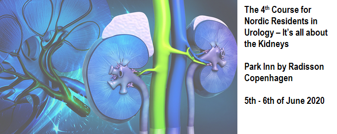 The 4th Course for Nordic Residents in Urology, 4-5 Feb 2022 – It’s all about the Kidneys