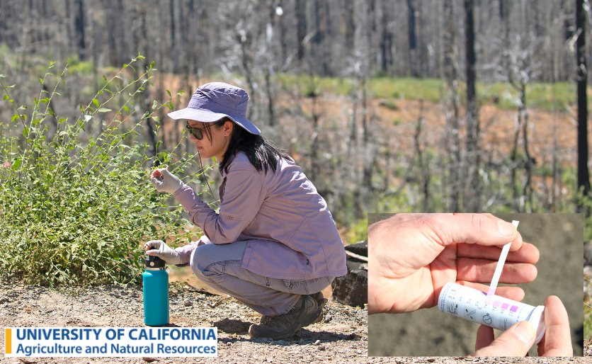 2024 Organic Nitrogen Management Workshop