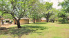 Skukuza Camp Grounds