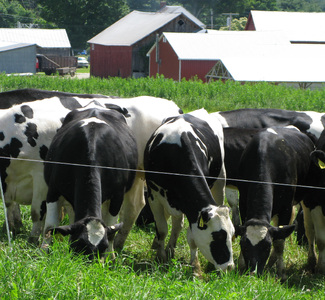 2023 Vermont Organic Dairy Producers Conference