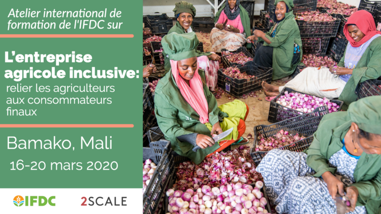  L’entreprise agricole inclusive: relier les agriculteurs aux consommateurs finaux