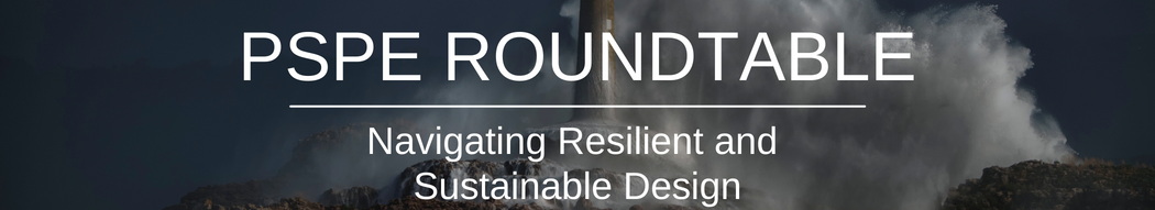 PSPE Roundtable | Navigating Resilient and Sustainable Design