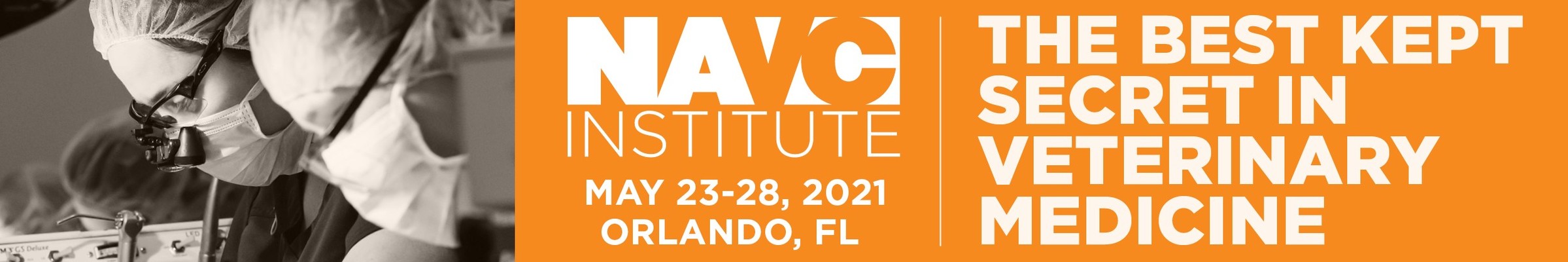 NAVC Institute 2021