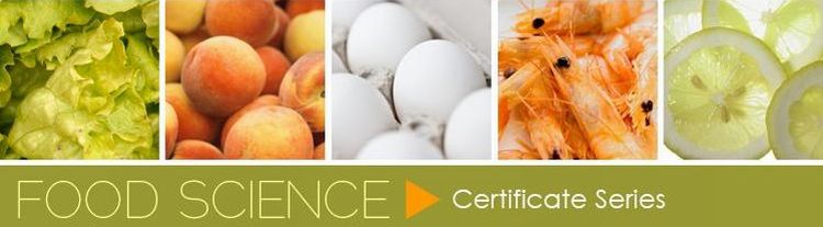 Food Science Certificate Series Image with lettuce, peaches, eggs, shrimp, and lemon slices