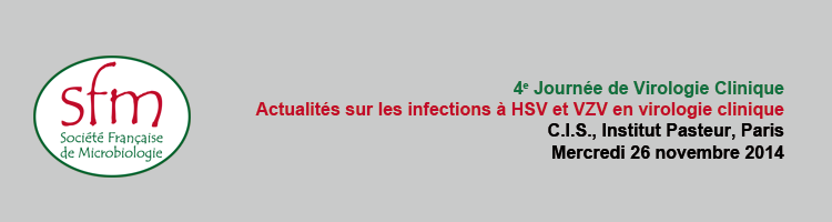 4e journée de virologie clinique