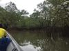 5.4 Jungle Tours