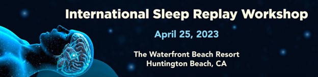 The International Sleep Replay Workshop