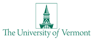 UVM Reorganization Working Group Brainstorming Session