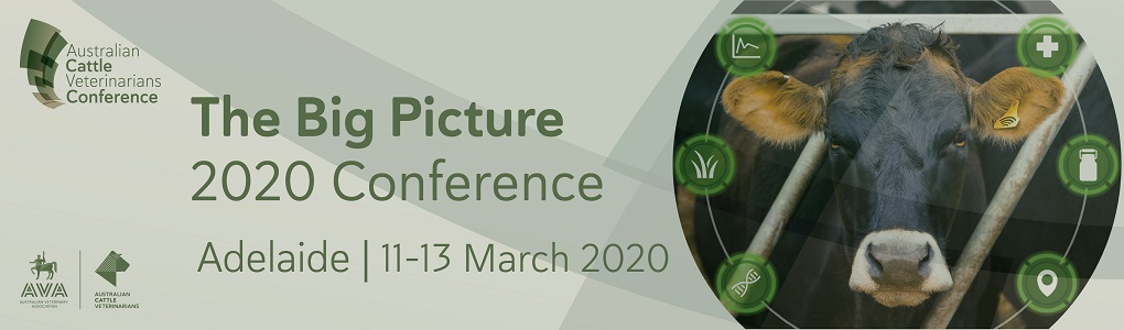ACV Annual Conference - The Big Picture 2020 Conference