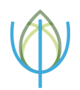 15th European Congress of Psychology