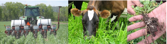 Dairy Sustainability: Climate, Soil, Water