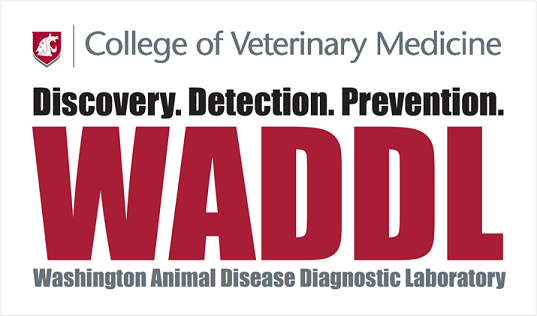 College of Veterinary Medicine: Discovery, Detection, Prevention, Washington Animal Disease Diagnostic Laboratory (WADDL) Logo