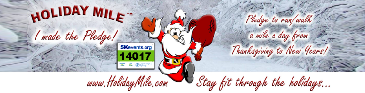 Virtual Holiday Mile 2014