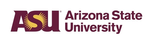 Agentic AI and the Student Experience