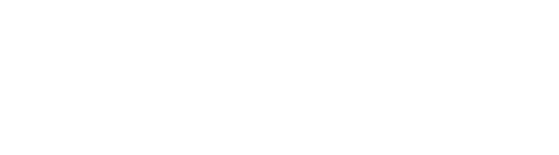 EMEA Cash Cycle (ICCOS) & Payments Seminar 2024