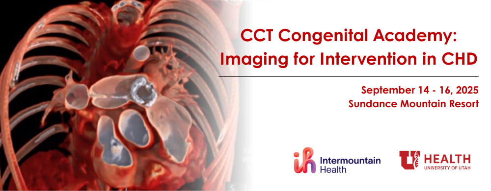 CCT Congenital Academy: Imaging for Intervention in CHD