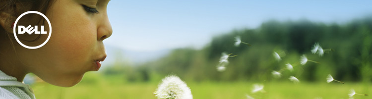 Introducing Dell DPACK for Public Customers