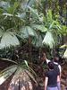 5.41 Jungle Tours
