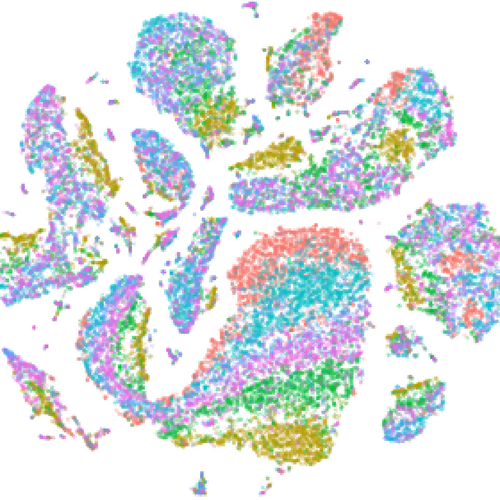 Bioinformatics Core December 2024 Single Cell RNASeq Analysis