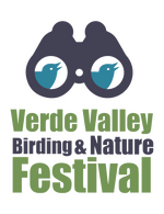2024 Verde Valley Birding & Nature Festival