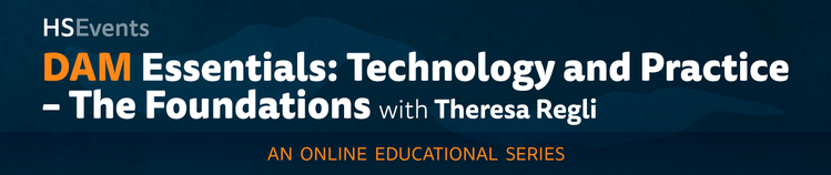 DAM Essentials: Technology and Practice - The Foundations - E20890